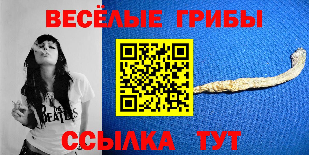 Галлюциногенные грибы Psilocybine cubensis  Вход с VPN  Псилоцибиновые грибы Psilocybine cubensis  Рузаевка 